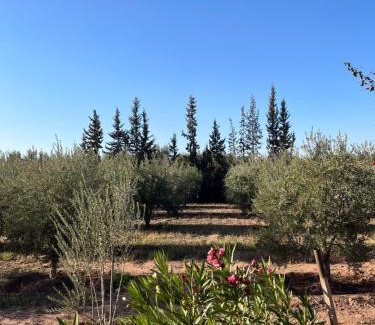 Al Ouidane Bed & Breakfast | Pet-Friendly Gite & Camping with Hot Tub in Ouarzazate