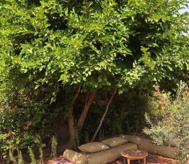 Al Ouidane Bed & Breakfast | Pet-Friendly Gite & Camping with Hot Tub in Ouarzazate