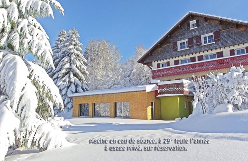 Gerardmer House | Exclusive Gites with Private Pool Near Slopes – 9.6/10 Rating