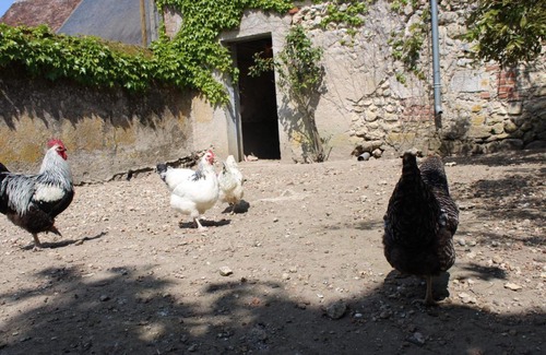 Veuves House | Gite Chez Cocotte: Family Escape by the Loire with Pool