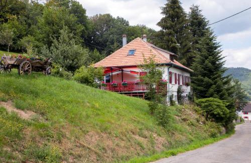 Breitenbach-Haut-Rhin House | Gite Chez Mimie: Oceanfront Retreat with Pet-Friendly Vibes