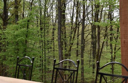Philippeville Ski Chalet | Enchanting Gite Cocon: Forest Retreat for Families