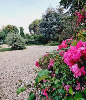 Languidic House | Cozy Gite Cosycool: Pet Friendly with Great Reviews!