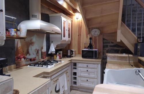 Saint-Etienne-du-Valdonnez House | Gite de 12 personnes a molines