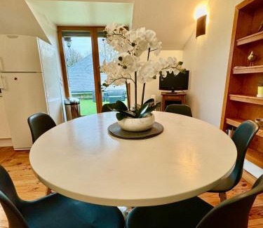 Vernou-sur-Brenne Apartment | GITE DANINOU: Family-Friendly Retreat with Pool and Terrace