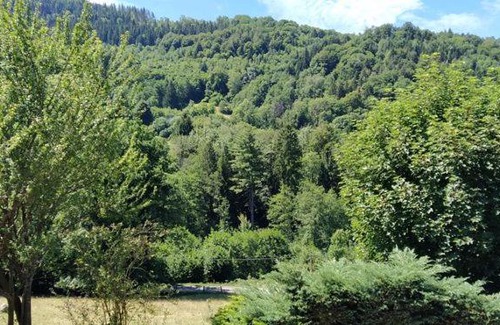 Vecoux Apartment | Idyllic Gite de Charme: Nature Retreat for Families & Pets