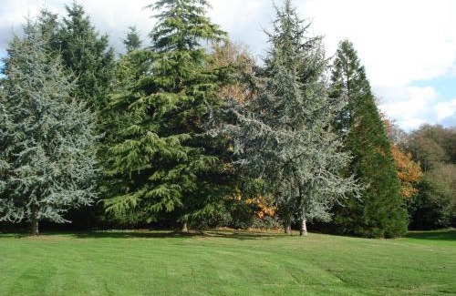 Berric House | Family-Friendly Retreat at Gite de Cohignac - Pet Friendly!