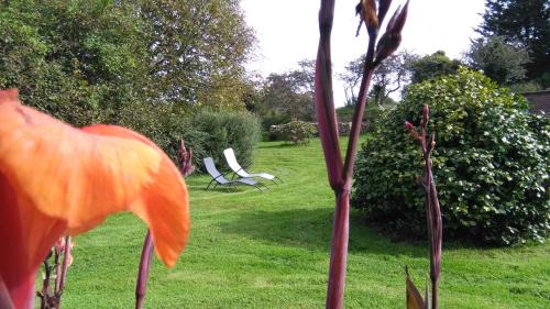 Pleumeur-Bodou House | Exceptional Gite de Kerianégan with Oceanfront Views