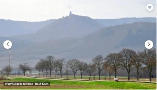 Ebersheim Apartment | Pet-Friendly GITE DE L'AUBACH: Rated 9/10 by Guests