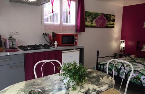 Ardentes House | Gite des 2 arbres de la sagesse: Cozy Chalet with Hot Tub