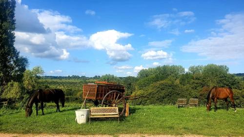Cambremer House | Pet and Child Friendly Retreat at Gite des Trévignes