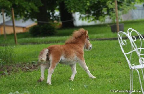 Vigny House | Child-Friendly Retreat at Gite du Centaure - Rated 9.1/10