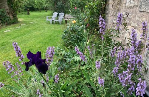 Beaugeay Apartment | Budget-Friendly Gite du figuier - Family Welcome Awaits!