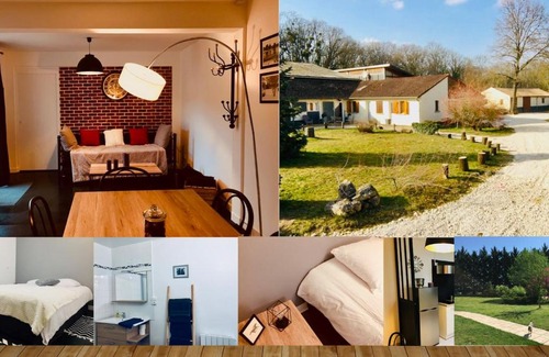 Nouan-sur-Loire House | Pet-Friendly Gite Ecuries Vineuil Jump with Great Reviews