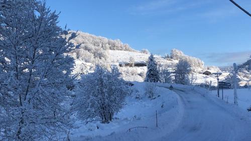Usclades-et-Rieutord House | Beautiful Gite in Ardèche with River Views and Pet Friendly