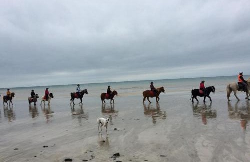 Brehal House | Discover GITE EQUESTRE DE LA LANDE: Family-Friendly Retreat