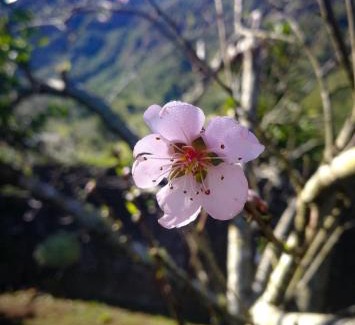 Dos d'Ane House | Cozy Stay at Gite etape chez Paule et Jo with Breakfast
