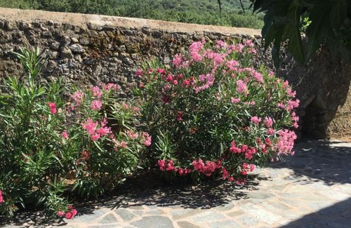Muro House | Gite Fabuleux Saint Michel: 10/10 Rated with Pool & Hot Tub