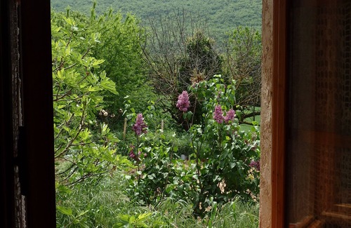 Saint-Michel-l'Observatoire House | Idyllic Gîte in Haute Provence: Pet-Friendly Retreat