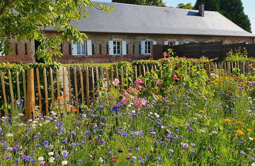 Saigneville House | Gite in Baie de Somme near Saint Valéry La Bergerie