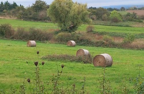 Champs House | Gite L'hirondelle en Auvergne