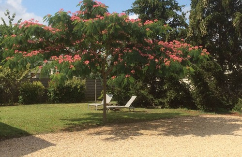 Avoine Cottage | Guest Rated 10/10: Gite "La Bonne Oats" with Pool & Breakfast