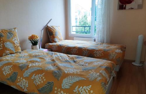 Quartier Saint-Leon Apartment | Comfort and Style at Gite La Houblonnière, Colmar