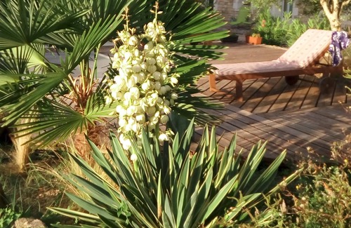 Bergerac House | Gite "la vergnassade" the quiet of the countryside in Bergerac with swimming pool access