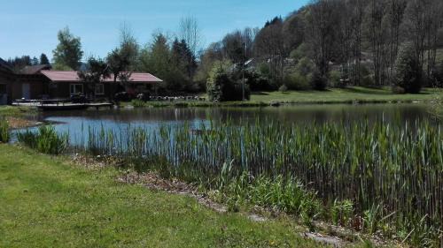 Fresse House | Experience GITE LES ECUREUILS: Child-Friendly Retreat