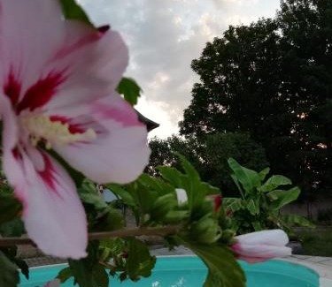 Montceau-les-Mines Bed & Breakfast | Stunning Oceanfront Stay at Chambre d'hôtes LE PUITS DARCY
