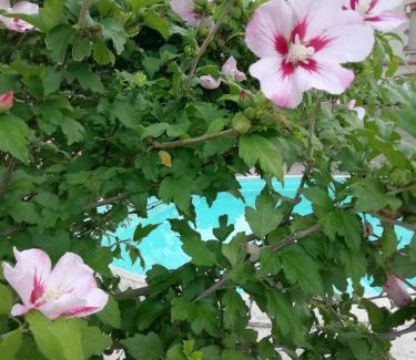 Montceau-les-Mines Bed & Breakfast | Stunning Oceanfront Stay at Chambre d'hôtes LE PUITS DARCY