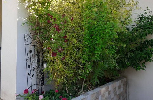 Volvent Apartment | Gite Pousada Tropical: Guest Rated 9.6 with Pool Access