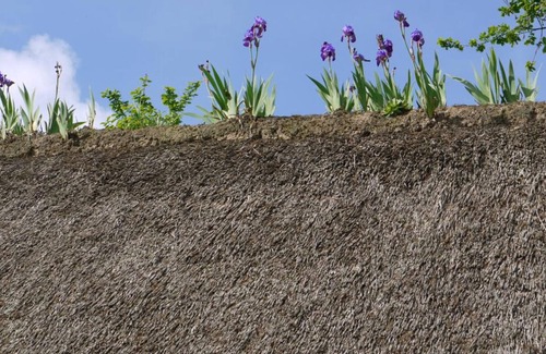 Saint-Antoine-la-Foret House | Gite Saint-Antoine-la-Forêt, 3 bedrooms, 6 persons