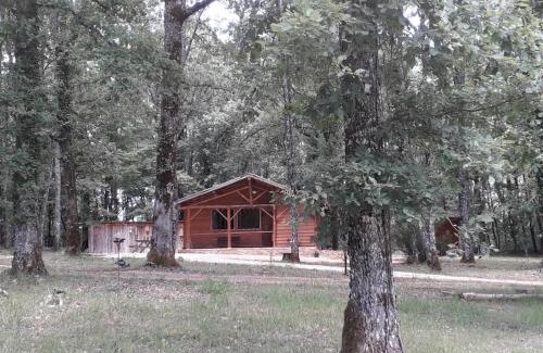 Cubjac-Auvezere-Val d'Ans House | Experience Gite Truffière de La Garrigue with Ocean Views
