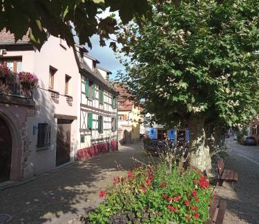 Bergheim Apartment | Indulge at Gites Aux Fines Bulles d'Alsace with Private Spa