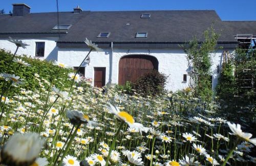 Louftemont House | Family-Friendly Gites-Clairiere-Ardenne with Pet Amenities