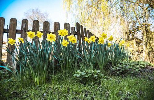 Jumencourt House | Kid-Friendly GITES CURCUMA et COMPAGNIE - 9/10 Rated Stay