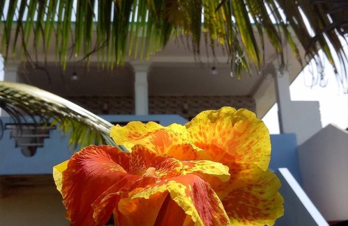 Dodanduwa Villa | Beachfront Bliss at Githmini Beach Guest House & Tours