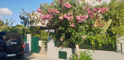 Santa Caterina Apartment | Oceanfront Comfort at Giu&Giu - Guest Rated 9.8/10