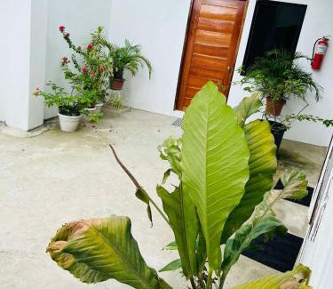 Basdiot Villa | GJEs Lodge and guest house