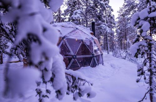 Alta Other | Unforgettable GLØD Aurora Canvas Dome with Dining & Family Fun