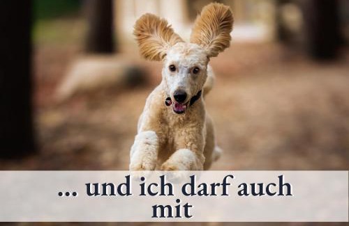 Bad Liebenzell Apartment | Pet-Friendly Glücks-Quartier "Waldhufe 1" with Great Reviews