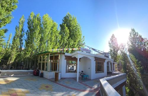 Leh House | Budget-Friendly Glacier View Guest House with Breakfast & Access