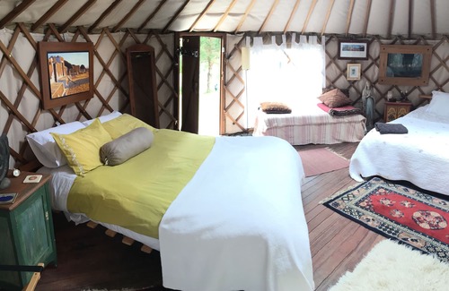 Kenepuru Head Bed & Breakfast | Eco-Friendly Glam Camping Experience in Sounds Paradise