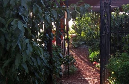 Bearii Villa | Cozy Glamping Experience with Nearby Bathroom & Pet Friendly