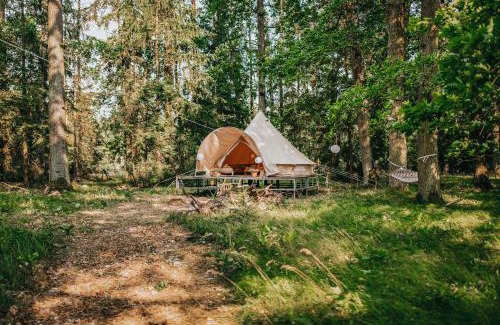 Sudomerice u Bechyne Other | Explore Nature at Glamping Černická Obora Experience