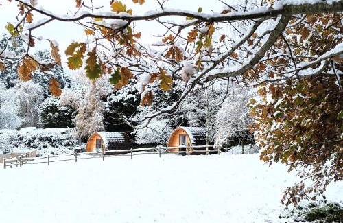 Royal Tunbridge Wells Other | Unique Glamping Experience at Honnington Farm - 9.4/10 Score
