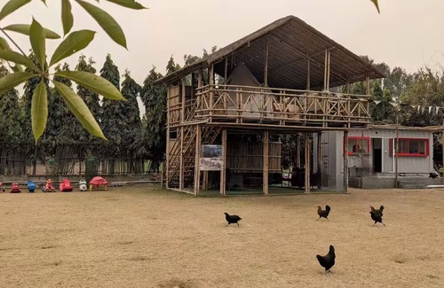 Noida Cottage | Glamping Bell Tent over a Bamboo Machaan