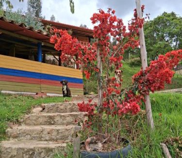 Duitama House | Eco-Friendly Cabaña: Perfect for Family and Pets