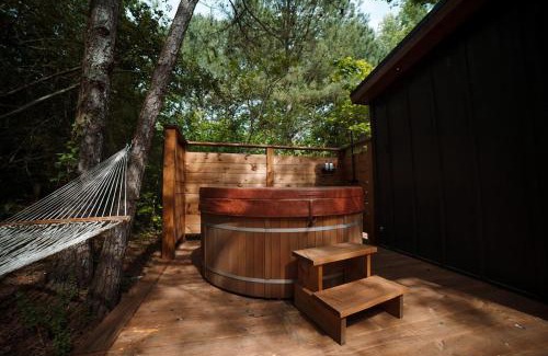 Guntersville House | Forest Hideaway: Guest Rated 9.5 for Your Next Escape